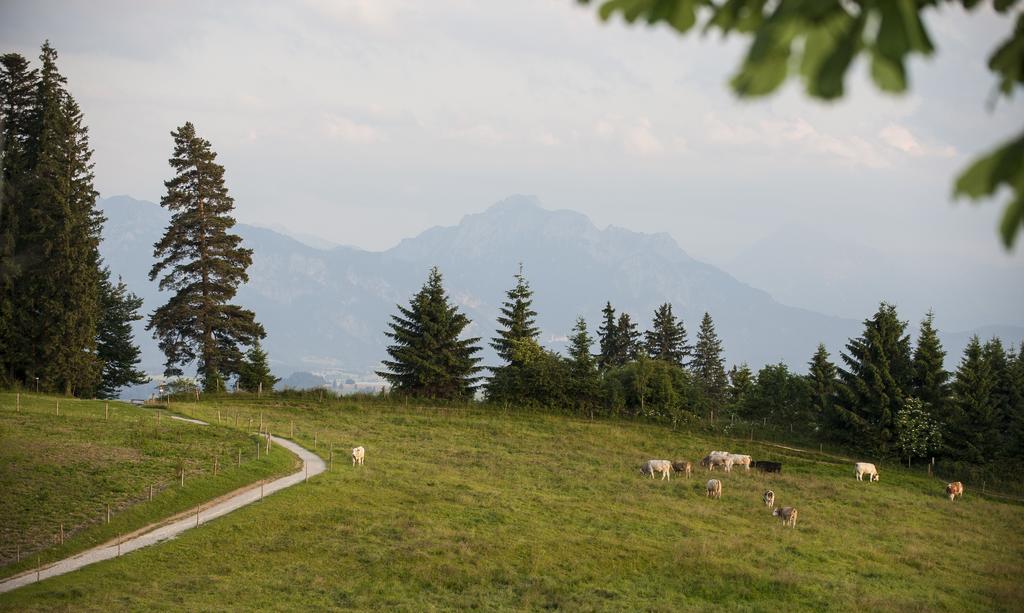 Panoramagasthof Auf Dem Auerberg Бернбойрен Экстерьер фото
