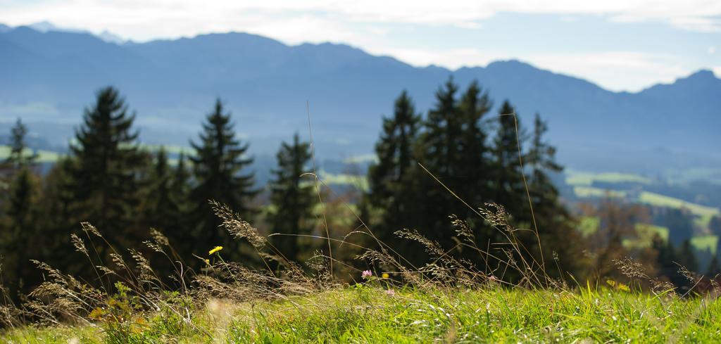 Panoramagasthof Auf Dem Auerberg Бернбойрен Экстерьер фото
